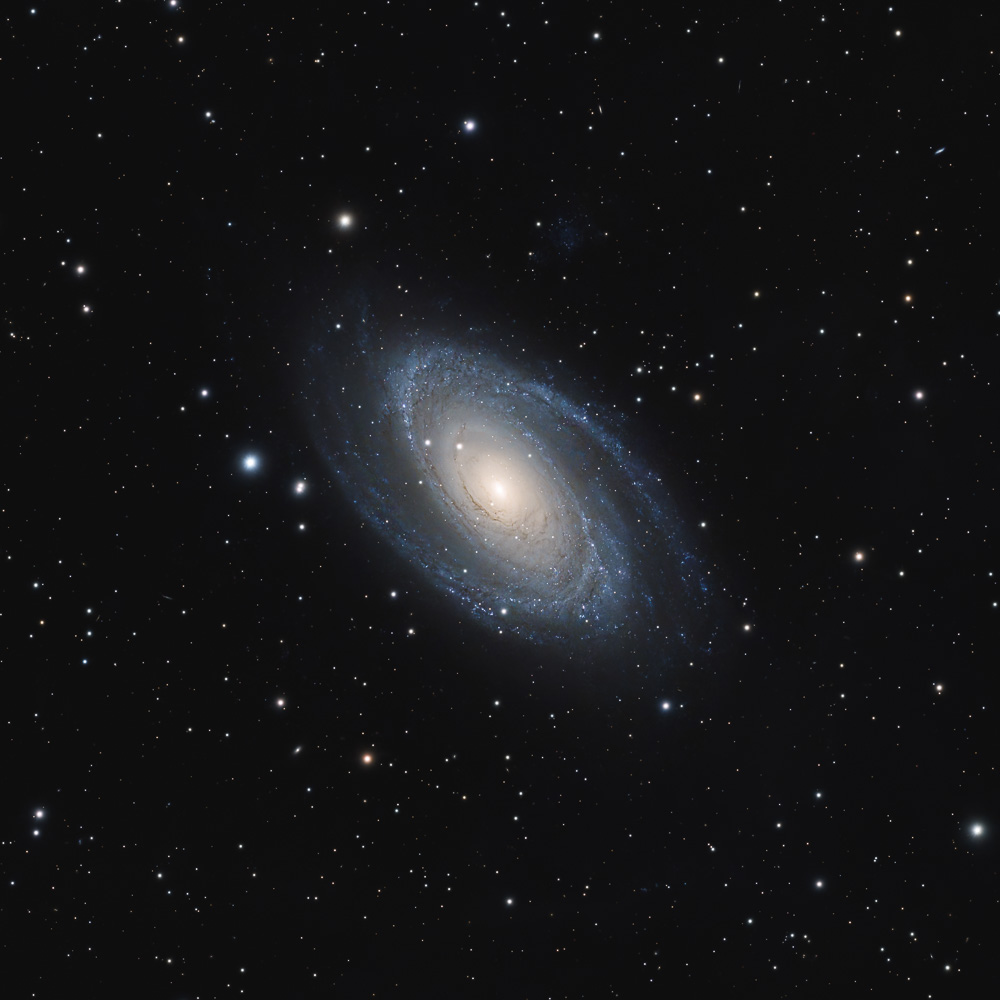 Bode's Galaxy